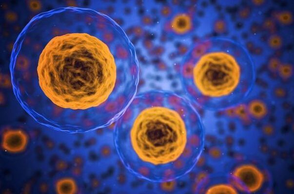 How the weight loss process works